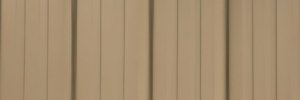 Saddle Tan panel color